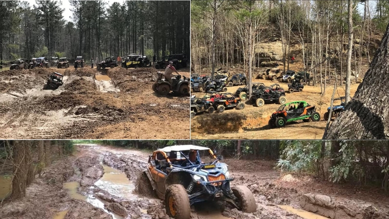 Alabama ATV Trails